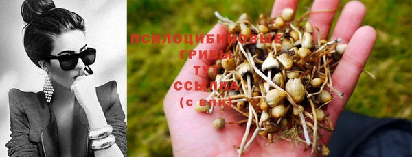 гашишное масло Володарск