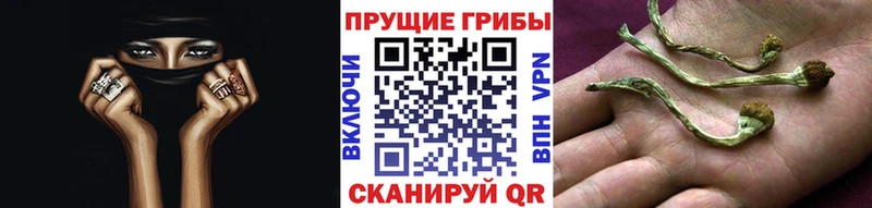Галлюциногенные грибы GOLDEN TEACHER  Купить закладки  Кохма 